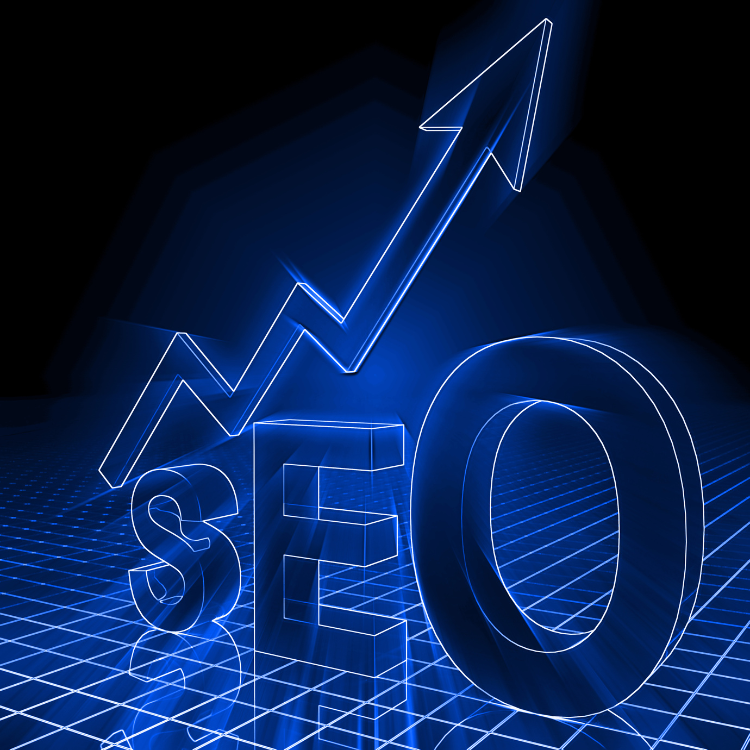 SEO results South Africa — organic traffic growth